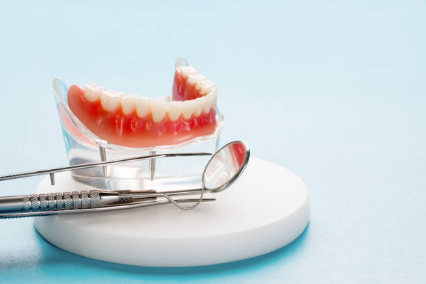 Professional Holistic Dental Care Services in Yeagertown, PA